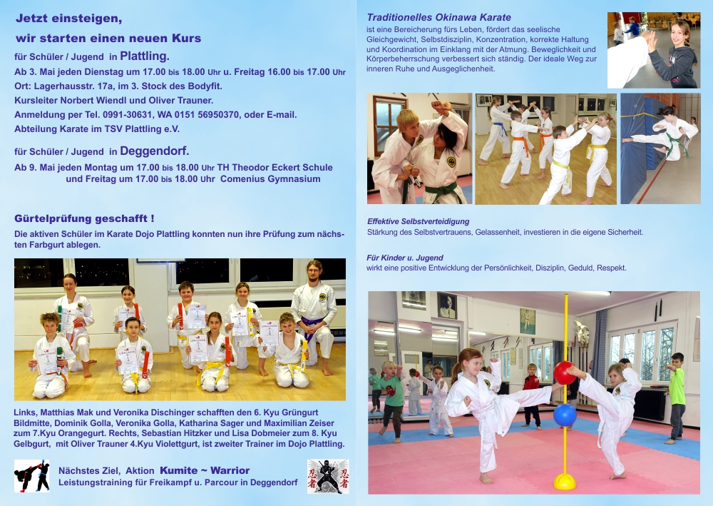 Shorin Ryu Seibukan Karate